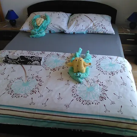Dana Apartament *